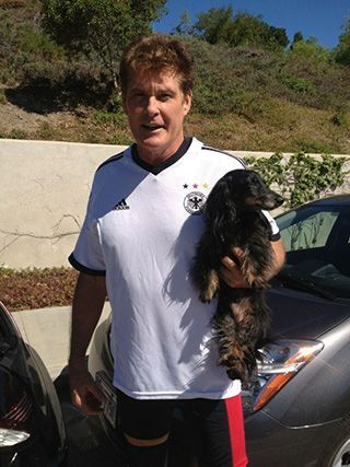 David Hasselhoff with his Long Haired dachshund, Henry