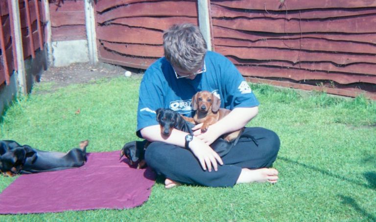 teenager with dachshund puppies in english garden teenager playing with dachshund puppies