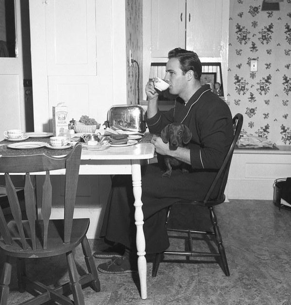 marlon brando